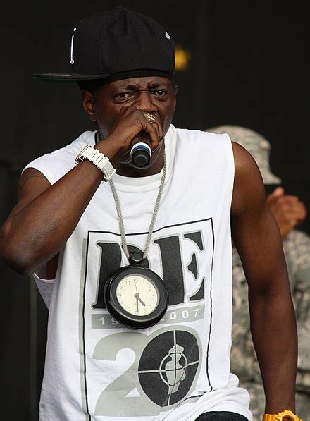 flavor flav wiki